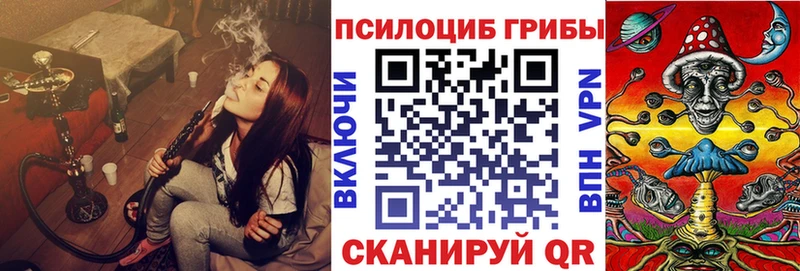 магазин продажи   Чадан  Псилоцибиновые грибы мицелий 